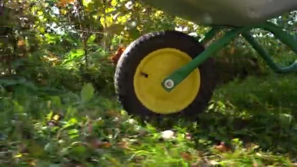 Roda de carrinho de mão jardim close-up em um dia ensolarado de verão. Um fazendeiro rola um carrinho de jardim na grama verde. Manhã no jardim — Vídeo de Stock