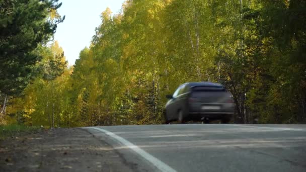 L'auto passa velocemente e si nasconde dietro una collina tra alberi alti. Un viaggio in auto fuori città in una giornata di sole autunnale. Paesaggio montano. Foglie gialle sugli alberi — Video Stock