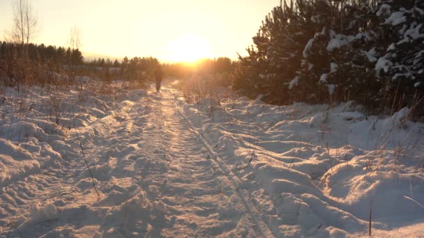 Spacer Śnieżnym Szlakiem do zachodu słońca. Człowiek idzie w śniegu w podświetlonym słońcu — Wideo stockowe