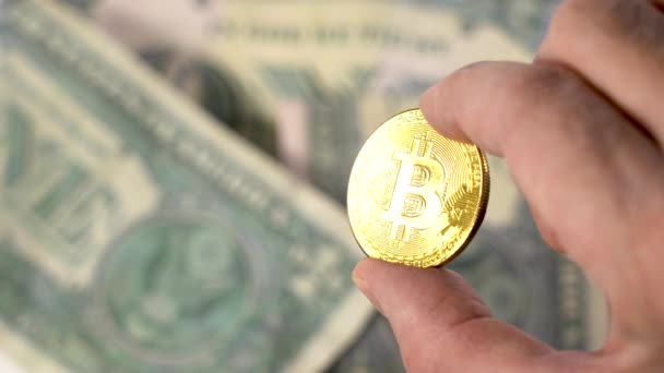 Potrzymaj złotą monetę Bitcoin na tle dolarów. Mans palce gospodarstwa Bitcoin złota moneta — Wideo stockowe