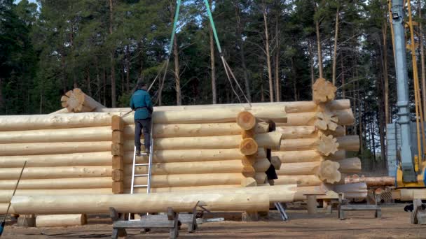 Assemblage d'une maison en bois rond à une base de construction — Video