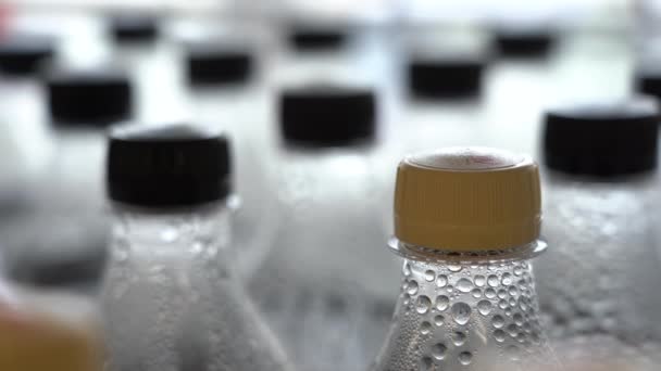 Muitas garrafas de bebidas plásticas na loja perto da janela. Fechem-se. Fila de garrafas de refrigerantes carbonatadas — Vídeo de Stock