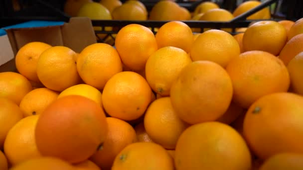 Many tangerines are on sale. Purchase fruit from the store. SLOW MOTION. — Stock Video