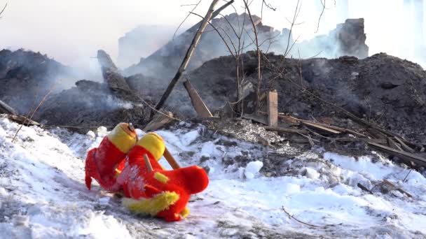 Dřevěný dům vyhořel. Kouření zuhelnatělé úlomky konstrukce a děti měkké hračky na sněhu — Stock video