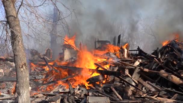 나무로 된 집에 불을 지르는 바람 — 비디오