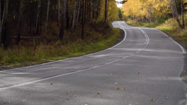 Camino cruza un exuberante bosque de otoño. Suburbano vacío sinuoso asfalto carretera entre el bosque de otoño. — Vídeos de Stock