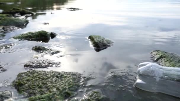 プラスチックボトルとパッケージは、湖の海岸近くに浮かんでいます。概念:地球の汚染 — ストック動画