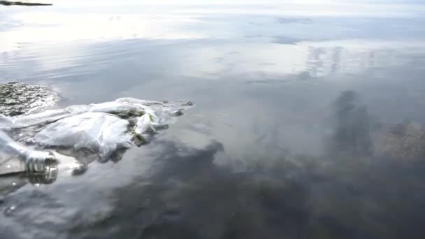 Πλαστικό μπουκάλι και το πακέτο επιπλέουν κοντά στην ακτή της λίμνης. Αντίληψη: Ρύπανση του πλανήτη — Αρχείο Βίντεο