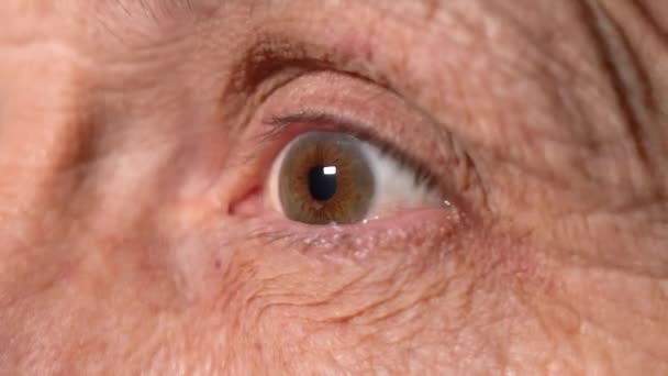 The Eye of an Elderly Man with a Brown Cornea Blinks — Stock Video