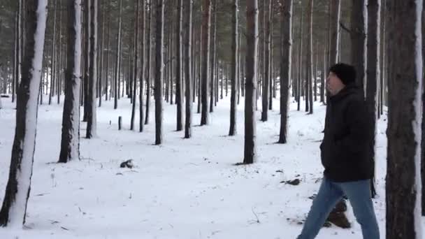 Camion girato: Un uomo cammina attraverso la neve attraverso la foresta. Escursioni in una foresta innevata. Parallel Camera Movimento Passato Neve-coperto tronchi d'albero — Video Stock