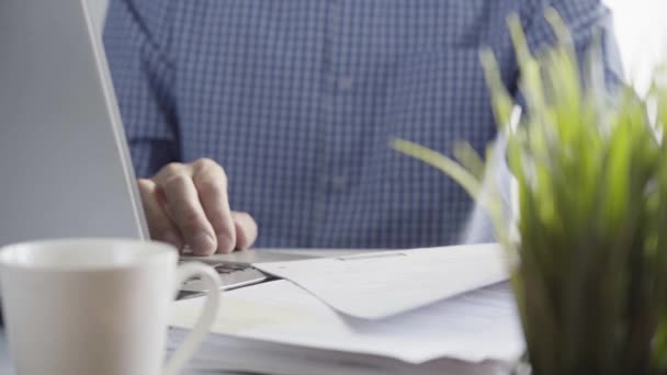 Pria Tangan bekerja di Laptop. Di bagian depan adalah Mug Kopi, Houseplant dan Bundle of Business Papers — Stok Video