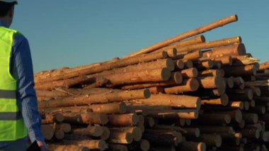 Beyaz miğferli bir müfettiş devrilmiş bir ağaç yığınını inceliyor.