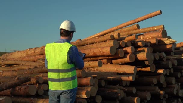 Un inspecteur portant un casque blanc examine une pile d'arbres abattus — Video