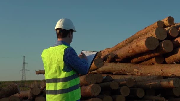 Inspektor v bílé helmě si prohlíží hromadu pokácených stromů. — Stock video