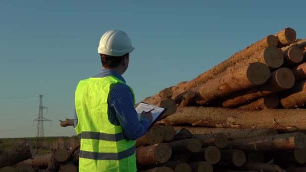 En inspektör i vit hjälm undersöker en hög fällda träd. — Stockvideo