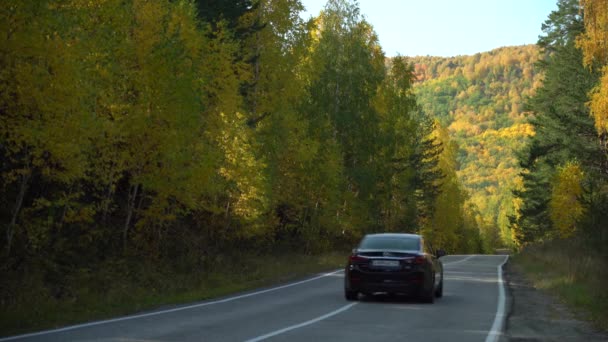 De auto rijdt snel voorbij en verschuilt zich achter een heuvel tussen hoge bomen. Een reis met de auto de stad uit op een zonnige herfstdag. Berglandschap. Gele bladeren aan de bomen — Stockvideo