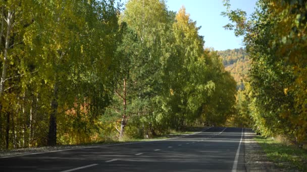 El coche pasa rápidamente y se esconde detrás de una colina entre árboles altos. Un viaje en coche fuera de la ciudad en un día soleado de otoño. Paisaje de montaña — Vídeos de Stock