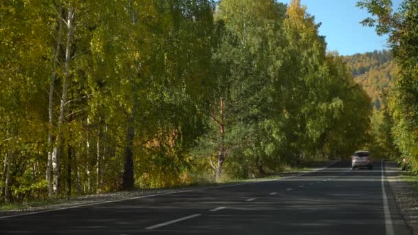 De auto rijdt snel voorbij en verschuilt zich achter een heuvel tussen hoge bomen. Een reis met de auto de stad uit op een zonnige herfstdag. Berglandschap. Gele bladeren aan de bomen — Stockvideo