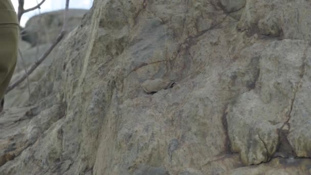 Primer plano de un excursionista Pies en las montañas, una bota en una piedra. Hombre en el senderismo Botas en la aventura explorando la montaña — Vídeos de Stock