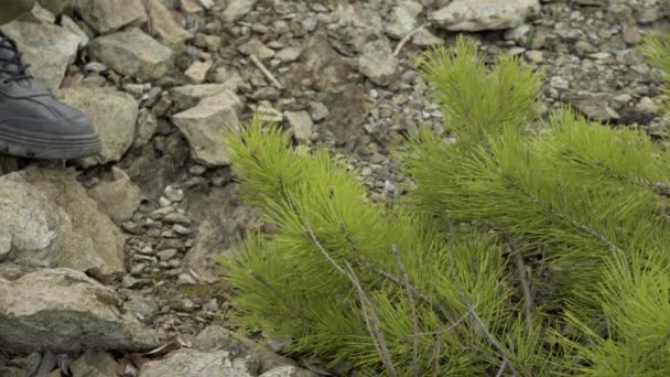 Mannelijke voeten in wandelschoenen en kaki broeken die over een bergpad lopen. Wandelen op de rotsen — Stockvideo