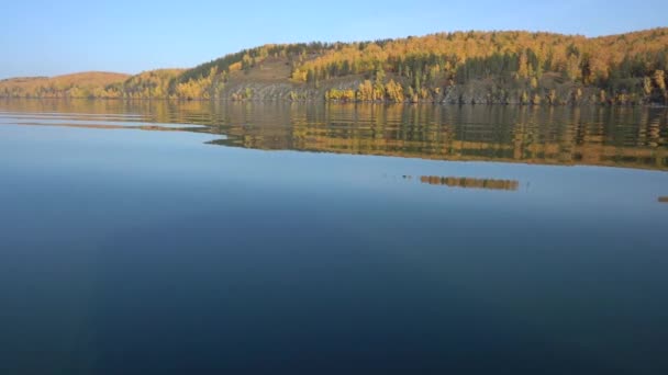 Żegluj po cichym jeziorze na łodzi rekreacyjnej w słoneczny jesienny dzień. Piękne odbicie żółtych drzew w wodzie. — Wideo stockowe