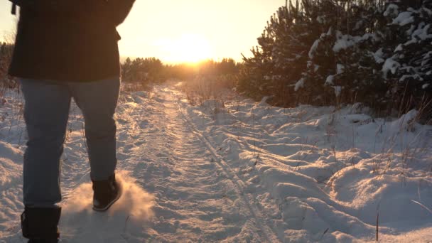 Percorri il sentiero della neve fino al tramonto. L'uomo cammina nella neve sotto la luce solare retroilluminata — Video Stock