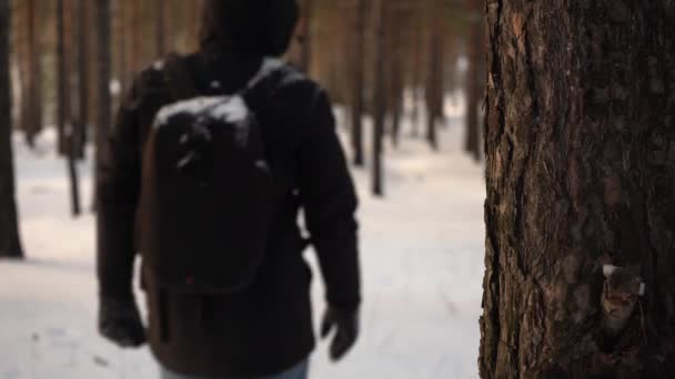 Un uomo viaggia attraverso un inverno gelido foresta innevata — Video Stock