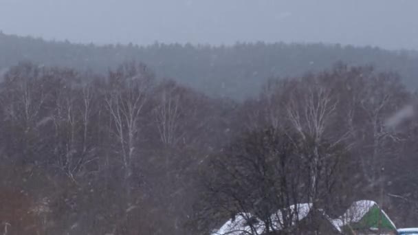 Tormenta de nieve en el pueblo. Nieve cayendo en grandes escamas sobre el fondo del bosque y las casas de campo — Vídeos de Stock