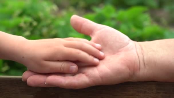 祖母と子供の手を閉じると、手をつないで。母子保健 — ストック動画