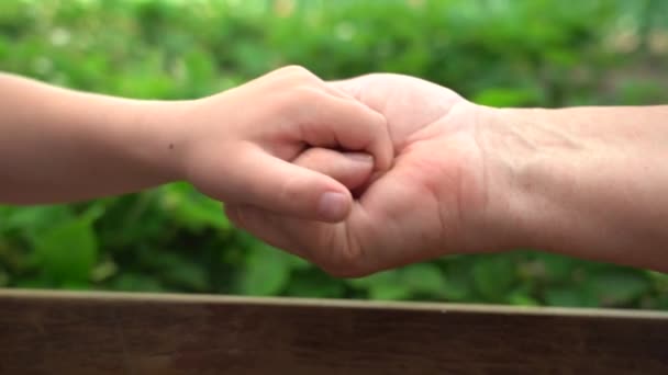 Руки бабушки и ребенка крупным планом, рука об руку. Материнский уход — стоковое видео