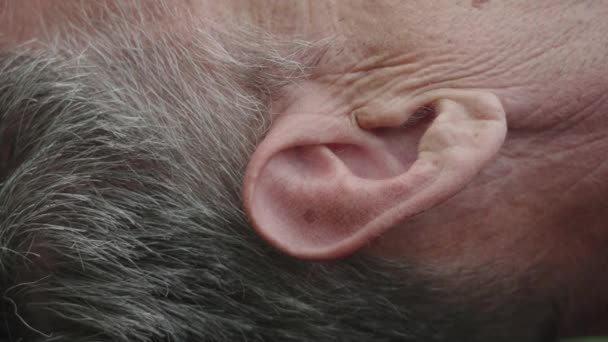 Close-up of the ear of an elderly man lying on his back — Stock Video