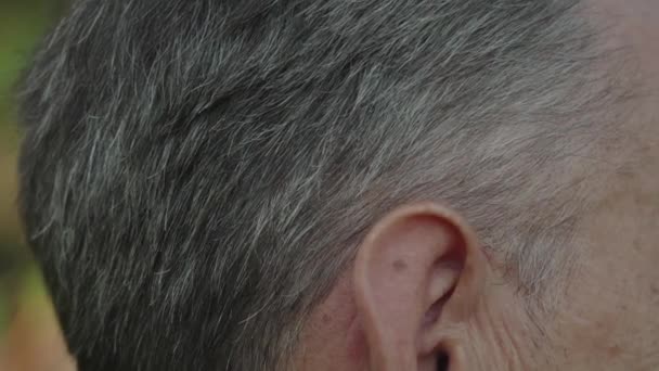 Cheveux gris sur la tête d'une personne âgée — Video