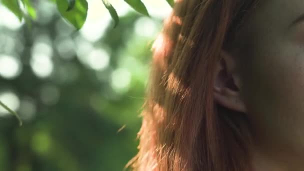A lányok hosszú vörös haját megvilágítja a napfény. — Stock videók