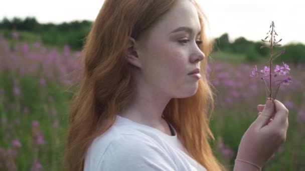 La jeune fille ramasse et examine attentivement une fleur sauvage dans une prairie d'été. Une belle fille dans la forêt contre le coucher du soleil cueille une fleur blanche et la renifle. Vie sans allergie — Video