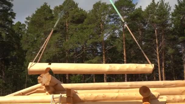 Déplacer grande bûche avec grue. Assemblage d'une maison en bois rond sur un chantier près de la forêt — Video
