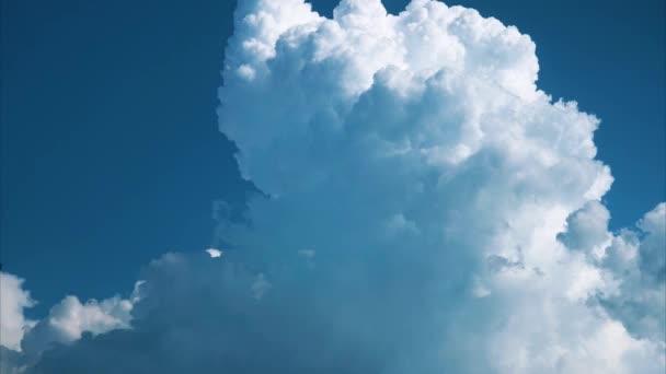 White clouds swirl. Time lapse. Pan shot. Beautiful blue sky with clouds moving cloud cluster swirling upward background — Stock Video
