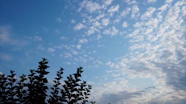 Niebieskie niebo z chmurami poruszającymi się gromadą chmur. Czas upływa. — Wideo stockowe