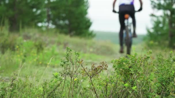 运动员骑山地自行车沿着风景如画的森林小径 — 图库视频影像
