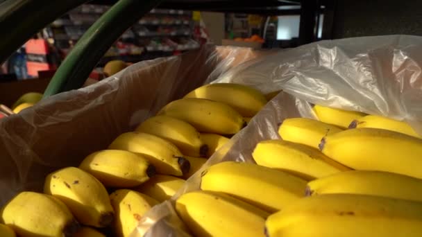 Bananes dans des boîtes dans le magasin — Video