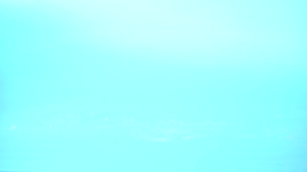 Bureți de spălat vase pe un fundal albastru — Videoclip de stoc