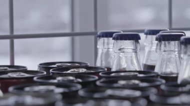 Konserve kutuları ve cam şişe içecekler. Yakın plan. Seçici odak