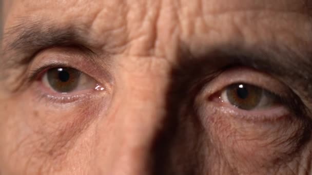 En äldre mans ögon. Kapillärer på ögongloben — Stockvideo
