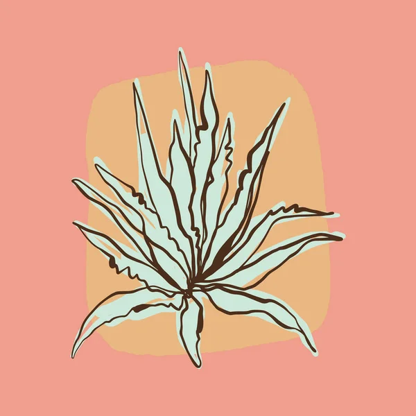 Aloe cactus arte impresión diseño dibujado a mano. — Vector de stock