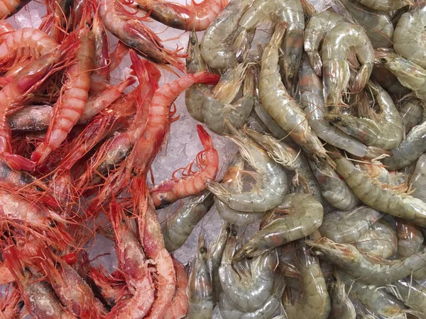 Mořské plody - čerstvé krevety na stánku v tržnici — Stock fotografie
