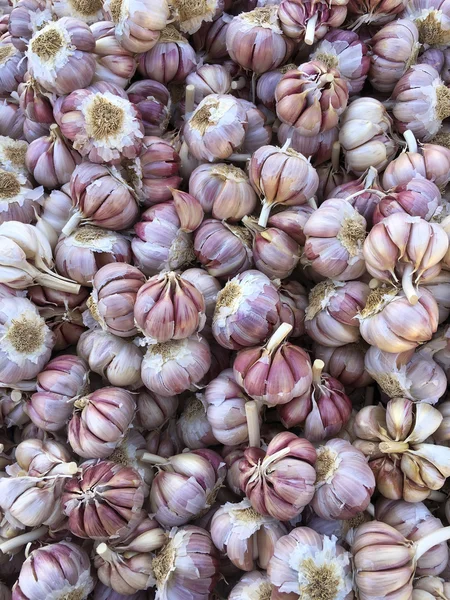 Garlic Bulbs - Seasoning - cooking — Stock Photo, Image