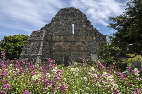 Ardmore katedrála - hrabství Waterford - Irsko — Stock fotografie