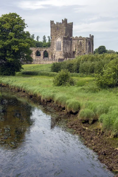 Abadía de Tintern - Condado de Wexford - Irlanda . —  Fotos de Stock
