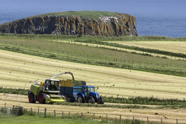 Сельское хозяйство - Ballycastle - Северная Ирландия — стоковое фото
