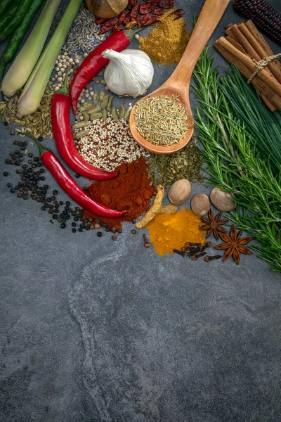 Fűszernövények Fűszerek Szürke Palatáblán Szöveges Háttérrel — Stock Fotó