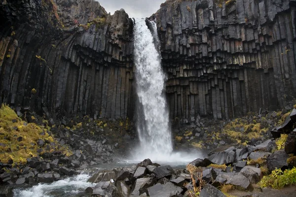 Voda Padá Přes Čedičové Sloupy Vodopádu Svartifoss Národním Parku Skaftafell — Stock fotografie